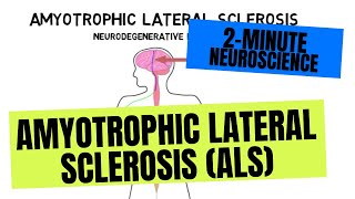 2Minute Neuroscience Amyotrophic Lateral Sclerosis ALS [upl. by Alletnahs]