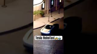 Tesla Unveiled the RoboTaxi and More 😳👀 [upl. by Arndt]