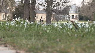 Frühling im Frankfurter Palmengarten [upl. by Leyla134]