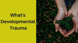 What is Developmental Trauma [upl. by Comras353]