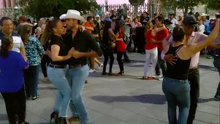 Como sera la mujer Rosa valencia Palillos chinos [upl. by Goldia]