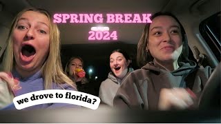 FLORIDA VLOG [upl. by Hanus]