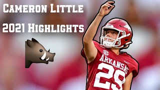 The MOST ACCURATE Kicker in CFB  Cameron Little 2021 Freshman Highlights [upl. by Ettennil]