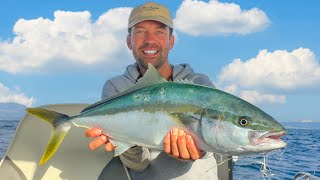 How to Catch Yellowtail Kingfish Jigging on LIGHT GEAR [upl. by Siocnarf591]