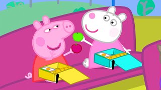 Le Voyage Scolaire  Peppa Pig Français Episodes Complets [upl. by Ecirtak]