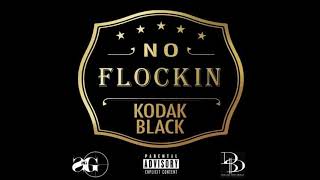 Kodak Black  No Flocking Clean [upl. by Illa756]