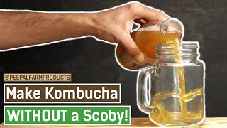 How to make Kombucha WITHOUT a Scoby  Kombucha Homemade Recipe  Healthy Probiotic Drink  DIY [upl. by Constantine]