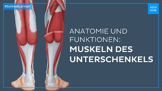 Unterschenkelmuskeln Anatomie und Funktion einfach erklärt  Kenhub [upl. by Elka658]