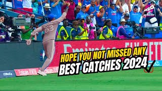 Ranked Best Catches in Cricket 2024  Unbelievable Catches in Cricket  Top Catches 2024 [upl. by Pierpont]