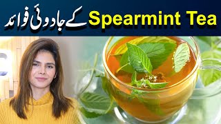 Magical Benefits of Spearmint Tea  Ayesha Nasir [upl. by Kreis]