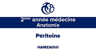 2ème année médecine Anatomie Péritoine [upl. by Treblih]