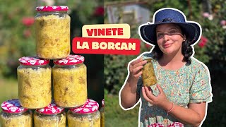 Vinete la borcan pentru iarnă – rețeta care iese 100 🍆  Anyta Cooking [upl. by Asseret269]