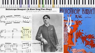 Heliotrope Bouquet by Scott Joplin amp Louis Chauvin 1907 Ragtime piano [upl. by Placia]