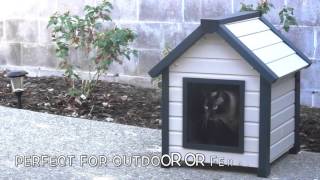 Outdoor Cat House Video [upl. by Sandon]