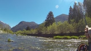 Pesca a Ninfa sul Sarca  Nymphing on Sarca River GoPro [upl. by Niala263]