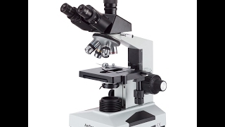 AmScope T490B Compound Trinocular Microscope 40X2000X Magnification [upl. by Halle598]