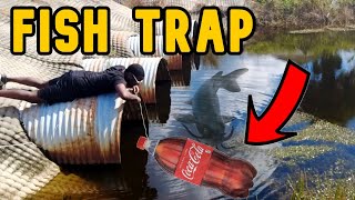 2 Liter Fish Trap DIY Challenge [upl. by Nolan]