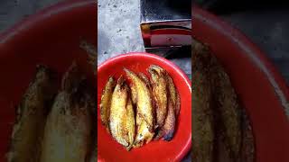 পাবদামাছ music song newsong food [upl. by Airotnes]