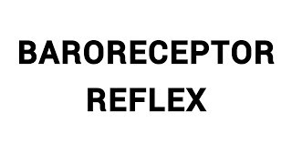 BARORECEPTOR REFLEX  Shortterm Regulation of Blood Pressure [upl. by Aimerej]