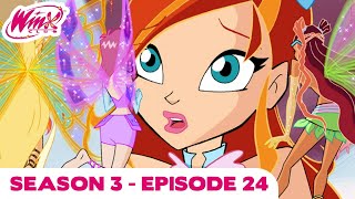 Winx Club  FULL EPISODE  Witches Revelation  Season 3 Episode 24 [upl. by Drarig369]