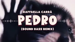 Pedro Sound BASS Remix 1H [upl. by Ewer]