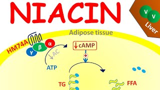 Methylcobalamin Niacinamide amp Pyridoxine Hydrochloride Injection Vitamin b12 Injection [upl. by Attenol]