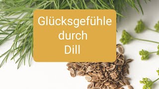 Dill für mehr Schlaf gegen bösen Zauber Fettleber hohen Cholesterin uSchilddrüsenunterfunktion [upl. by Doble]