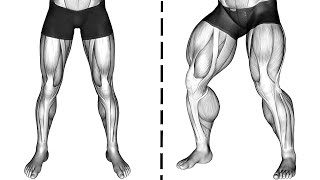 These Exercises Will Make Your Legs Stronger [upl. by Gerti]