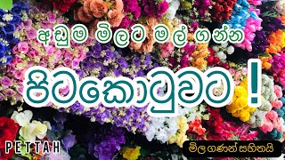 ලාභෙට මල් ගමු 💐  Pettah Shopping Vlog [upl. by Nerak408]