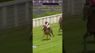 Kyprios  too good in the Goodwood Cup horse horseracing racingtv sport britishhorseracing [upl. by Ahmar]