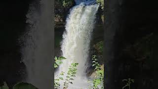 Minnehaha Falls shortvideo falls [upl. by Euqnomod]