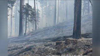 Prescribed burn in Boise National Forest [upl. by Harsho445]