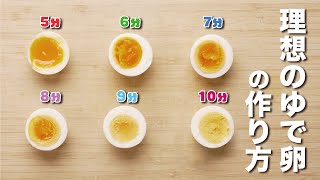 【保存版】トロトロ半熟から固茹でまで！理想のゆで卵の作り方｜温泉卵 [upl. by Polloch]