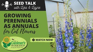 Seed Talk 101  Growing Perennials as Annuals for Cut Flowers [upl. by Ardnak55]