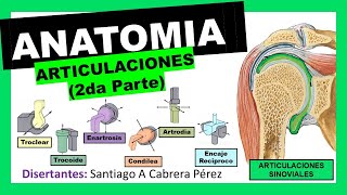 ▌ANATOMÍA ▌ARTROLOGIA 2da Parte ▌ARTICULACIONES SINOVIALES ▌DIARTROSIS Y DIARTROANFIARTROSIS ▌ 💀 [upl. by Jehias]