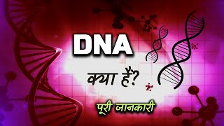 What is DNA With Full Information – Hindi – Quick Support [upl. by Nirac]