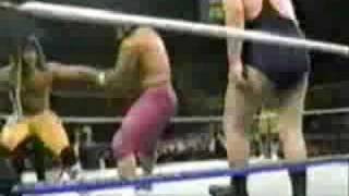 Haku amp Andre The Giant vs The Rockers [upl. by Gerhardine864]