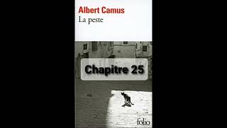 25  La peste de Camus  Chapitre 25  livre audio [upl. by Parry585]