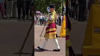 Senior drum major The Kings Guard1st Battalion Welsh GuardsMusical Support kingsguard [upl. by Sedda]