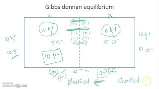 Gibbs Donnan equilibrium and membrane potential [upl. by Oliviero]