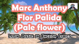 Marc Anthony  Flor Palida  ENGLISH LYRICS [upl. by Dinny804]