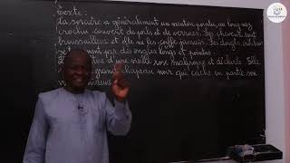 Cours  CM1 Français  Grammaire  La fonction attribut de ladjectif qualificatif M Guissé [upl. by Edouard]