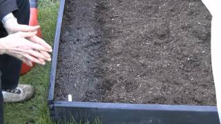 How to sow Carrot seeds [upl. by Auqenehs]