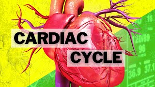 The Cardiac Cycle [upl. by Talbert]