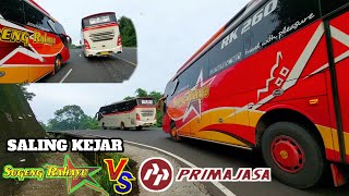 Kalah Telak ‼️saling kejar bus sugeng rahayu VS primajasa di tanjakan [upl. by Krischer317]