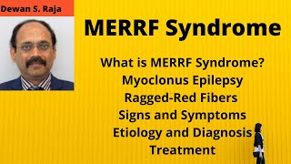 MERRF Syndrome [upl. by Niltiac422]