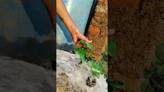 Washing tractor trending reels [upl. by Marlane]