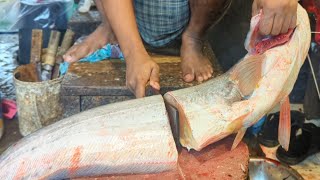 Amazing Giant Wallago Attu Catfish Cutting Skills In Bangladesh Fish Market [upl. by Kally184]