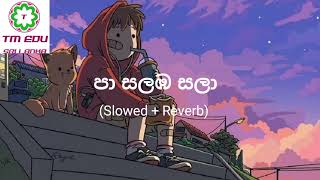 Pa Salamba Sala  පා සලඹ සලා  Ranidu Lankage  Slowed and Reverb  TM Edu  tmedusl2010 [upl. by Anirtap]