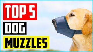 Top 5 Best Dog Muzzles to Prevent Biting of 2021 Review [upl. by Gregory143]